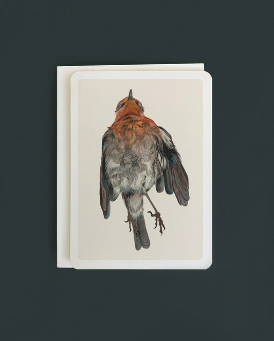 Robin Study No. 3 - Greeting card