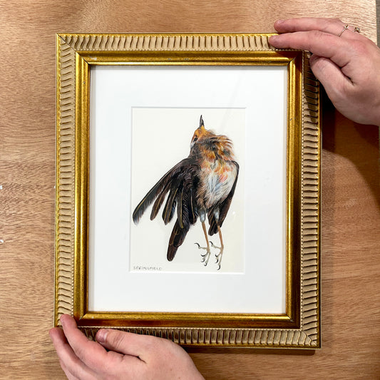 Framed Robin Study